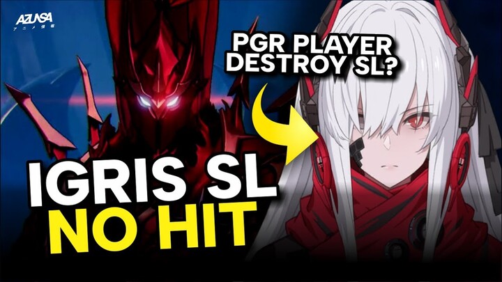 PGR Player vs IGRIS Solo Leveling Arise - No Hit