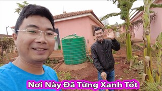 Khi 2Q Vlogs Cùng @Tony Phong - Cuộc Sống Châu Phi Cải Tạo Vườn Rau||2Q Vlogs Cuộc Sống Châu Phi