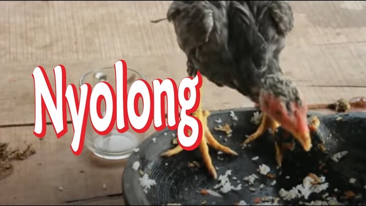 Nyolong - Komedi Film Jawa