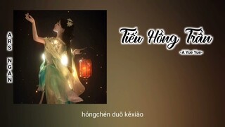 Tiếu Hồng Trần (笑红尘) - A Yue Yue