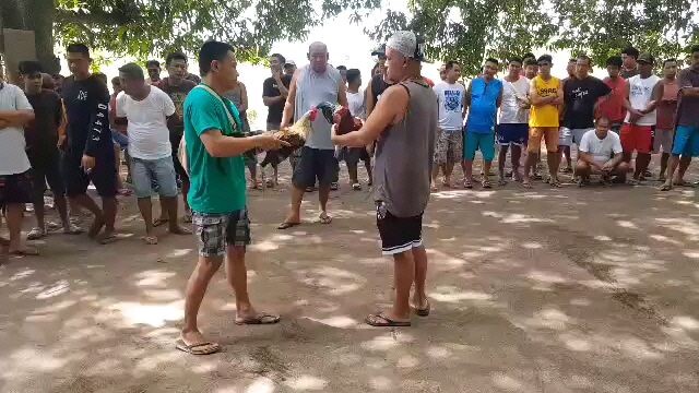 akala nila mahina ang manok ko yun pala mamaw it's a frank