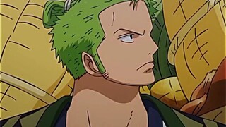 law forgot zoro is not luffy