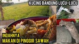 Cats Lovers Tv Streed Feeding Di Desa Cileunyi Bandung Masya Allah Indah Banget Pemandangan..!
