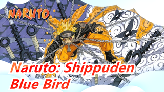 [Naruto: Shippuden] Will Our Youth Come Back Again? - Blue Bird