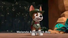 Paw patrol musim 10 Episode 18 Original mix indonesia