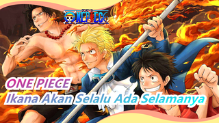 [ONE PIECE] ASL Tiga Bersaudara! Persaudaraan, Ikatan yang Akan Kekal Selamanya!!