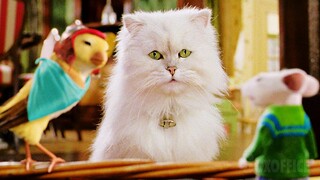 Cat and Mouse Meet Bird | Stuart Little 2 | CLIP