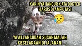 Astagfirullah Anak Kucing Liar Ini Kakinya Pincang Sampai Membusuk Harus Di Amputasi Tolong Dokter.!