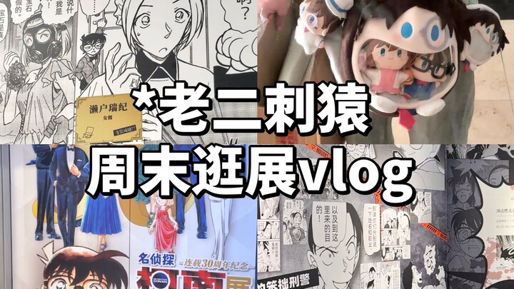 来鉴定一下刚开的柯南30周年展｜vlog