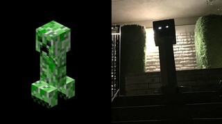 Minecraft Mobs in Real Life