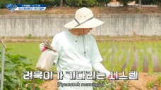 SJ returns 4 part 9 (41-45)