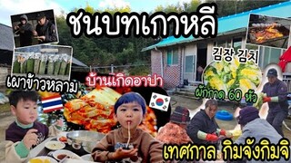 Ep.988 #แม่บ้านเกาหลี เดินทางแต่เช้าเพื่อไปทำกิมจิบ้านเกิดพ่อบ้านเกาหลี เผาข้าวหลามคนเกาหลีติดใจ