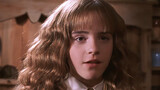 [Remix]"I'm a mudblood, and I'm proud of it."-Hermione Granger