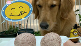 Hey doggie! Is this the biggest meat ball you've ever seen?