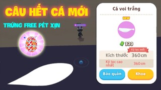 (Play Together) Chi tiết "Thời Gian" "Địa Điểm" "Bóng Mấy" 13 loài cá Mới | Cách Nhận Trứng Free