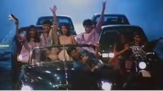 HOTSHOTS (1984)