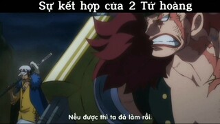 Sự kết hợp của 2 tứ hoàng #anime