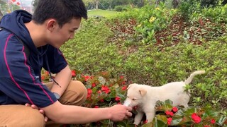 [Wu Lei] Cuộc gặp gỡ đầu tiên với Gou Bei ~ Xiao Bei là một cô gái ~