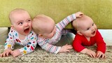 Cutest Triplets Baby Make you LAUGH super HARD 🐣🐣🐣 Funny Babies and Pets
