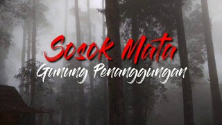 Cerita Horor - Sosok Mata Gunung Penanggungan