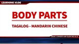 Tagalog English to MANDARIN Chinese BODY PARTS