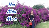 Hai mùa mưa ( giải trí trong những ngày mưa Đà Lạt )