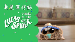 小蜘蛛卢卡斯：朋友有难，拔“刀”相助，卢卡斯变医疗蛛了