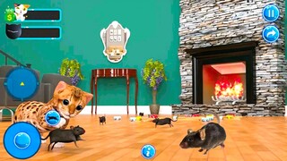 Kucing Kitty Berburu Tikus Yang Mencuri Paha Ayam Dan Strawbery Di Rumah Jack 🤣😲 Game Ebi Gamespot
