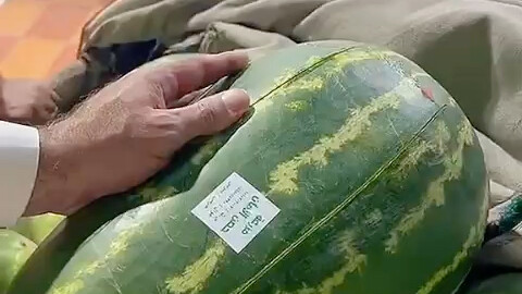 What are the differences between foreign watermelons? !