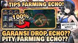 FARMING ECHO ADA PITYNYA??! Tips Farming Echo 100% Drop!! 🤔 | Wuthering Waves