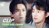 Hu Zi Stews Big Tonic Soup for Xiaoxuan | Tiger and Crane EP06 | 虎鹤妖师录 | iQIYI
