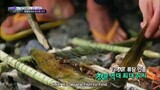 Law of the Jungle Episode 292 Eng Sub #cttro