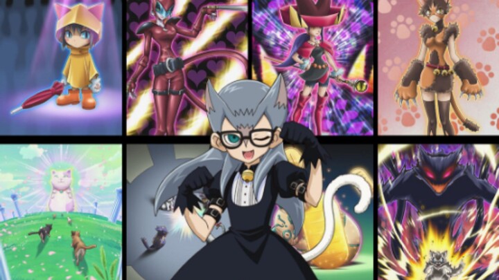 Yu-Gi-Oh! ZEXAL Unrealized Card Series: A comprehensive review of the Kitten deck!