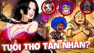 TUỔI THƠ BẤT HẠNH HƠN CẢ LUFFY?! | NHỮNG KẺ BỊ BẮT LÀM NÔ LỆ TỪ BÉ?!