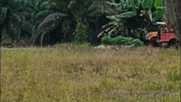Angkat angkut
