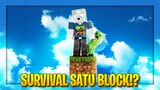 BERTAHAN HIDUP  DI SATU BLOCK SAJA!? - Minecraft One Block #1