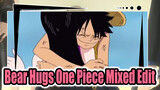 Three Persons Luffy One Gave Bear Hugs To, Such is True Love