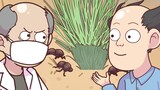Apakah kumbang kotoran memiliki penglihatan yang buruk?
