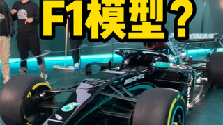 模型天花板？1:1奔驰F1赛车！