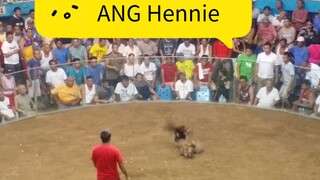 ANG Hennie (old spar)