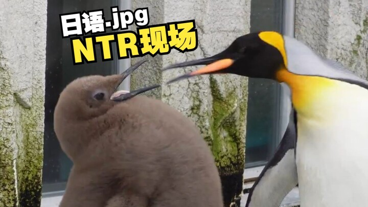 "NTR Penguin กับสไตล์การทาสีที่เปลี่ยนไป"