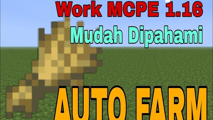 Cara Membuat AUTO FARM Di Minecraft PE 1.16