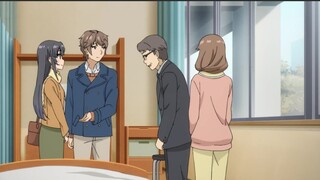 A new work in the Rascal Does Not Dream of Bunny Girl Senpai series has been decided!