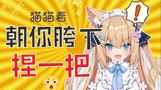 【四分钟看猫猫】震惊猫猫一整年！超你胯下捏一把？？？