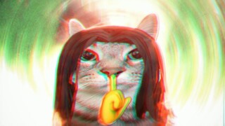[Cat meme Gu] I am at the peak of the third level, who dares to kill me? Who can kill me? !
