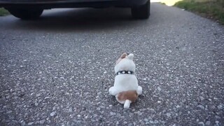 IN LOVING MEMORY OF DOG BOY