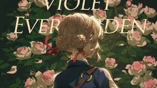 [Amv] Pertemuan Sekali Seumur Hidup (Violet Evergarden)