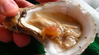 蚝里蟹，不肉