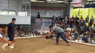 3hits ulutan 2nd fight win