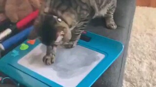 เหมียวเซว่เซินกำลังศึกษาวิทยาศาสตร์
